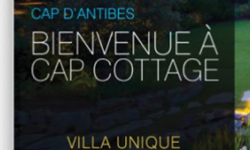 Immobilier de luxe