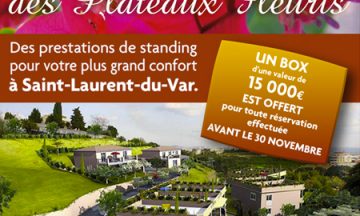 Immobilier haut-de-gamme